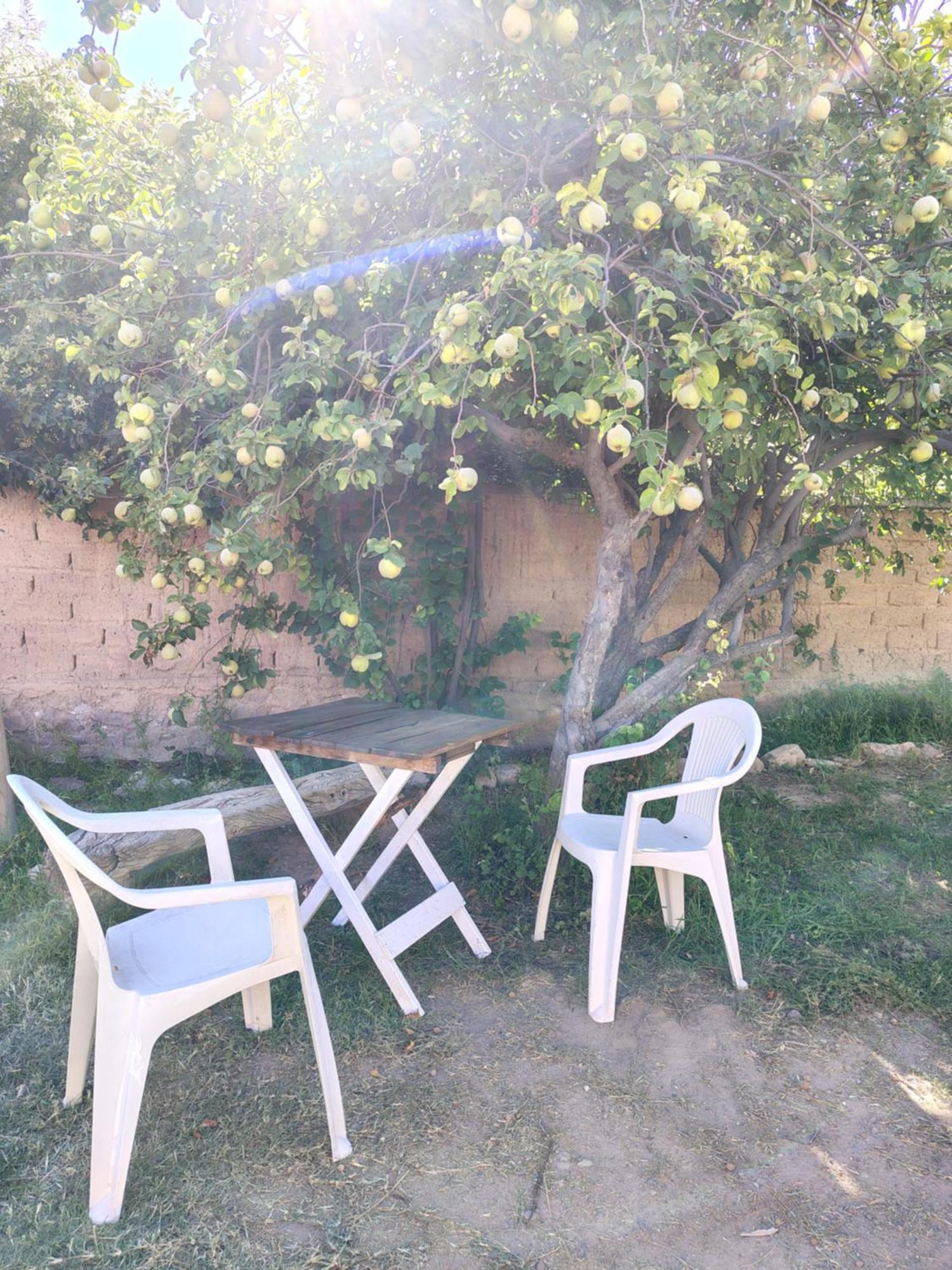Inti Sayana Hostel Humahuaca Buitenkant foto