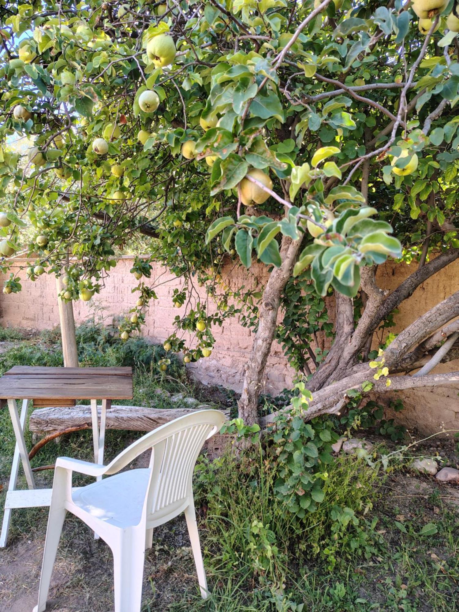 Inti Sayana Hostel Humahuaca Buitenkant foto