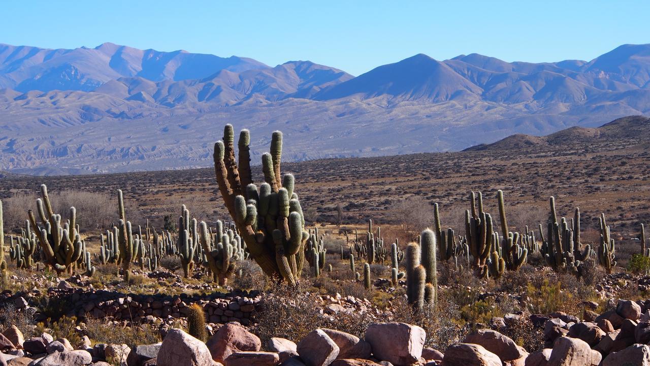 Inti Sayana Hostel Humahuaca Buitenkant foto