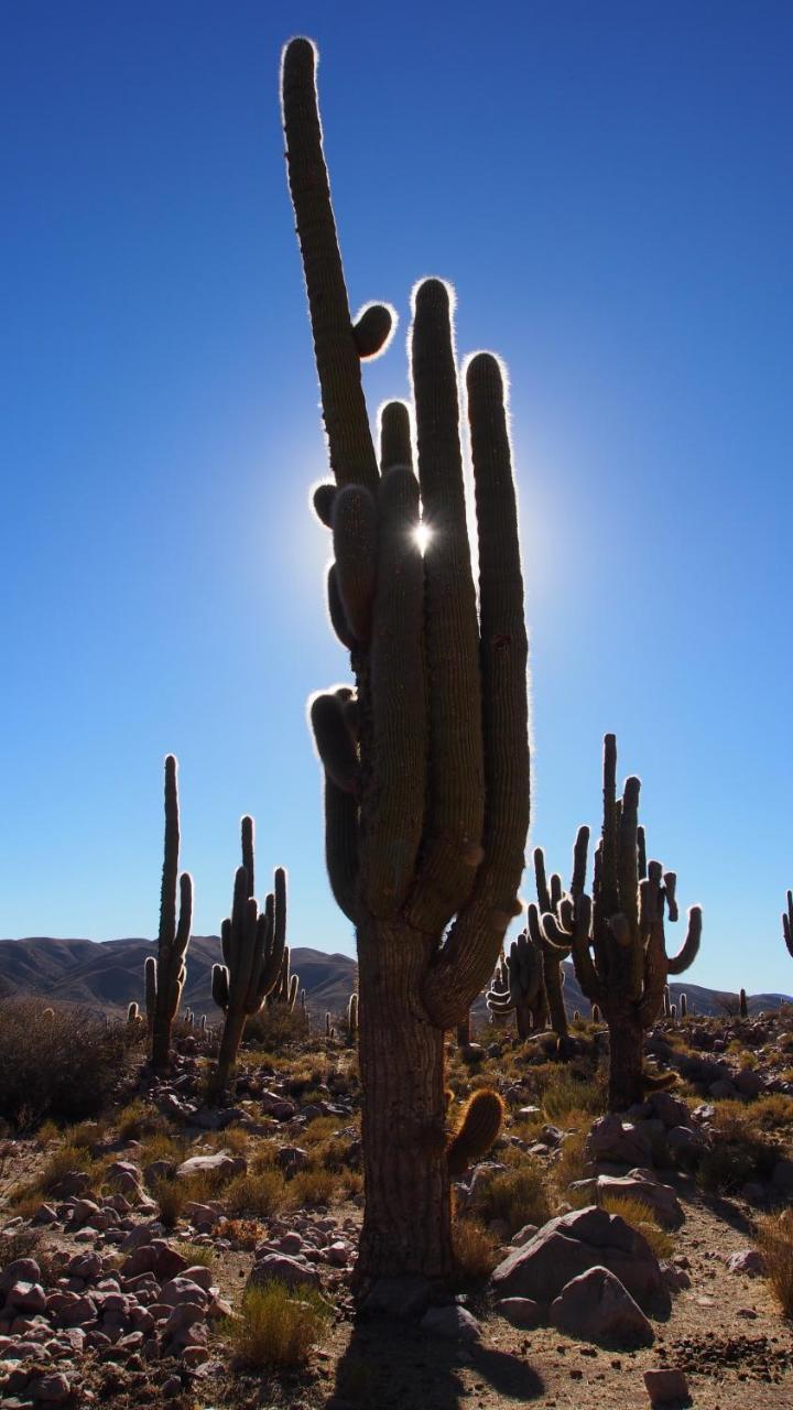 Inti Sayana Hostel Humahuaca Buitenkant foto