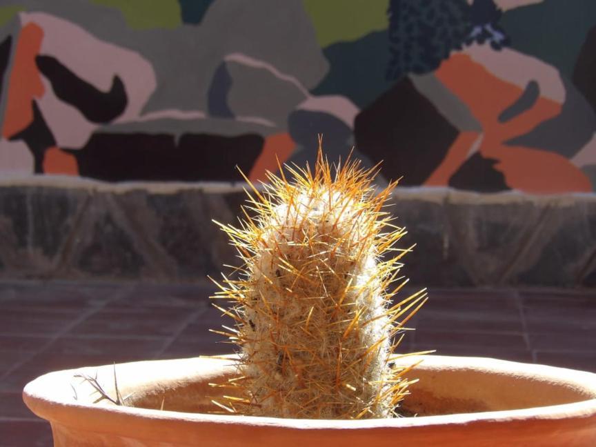 Inti Sayana Hostel Humahuaca Buitenkant foto